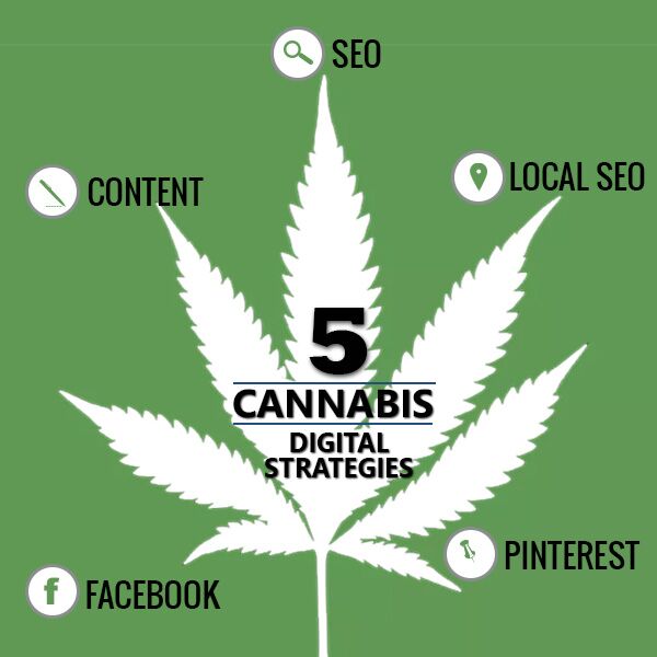 Digital strategies for cannabis businesses